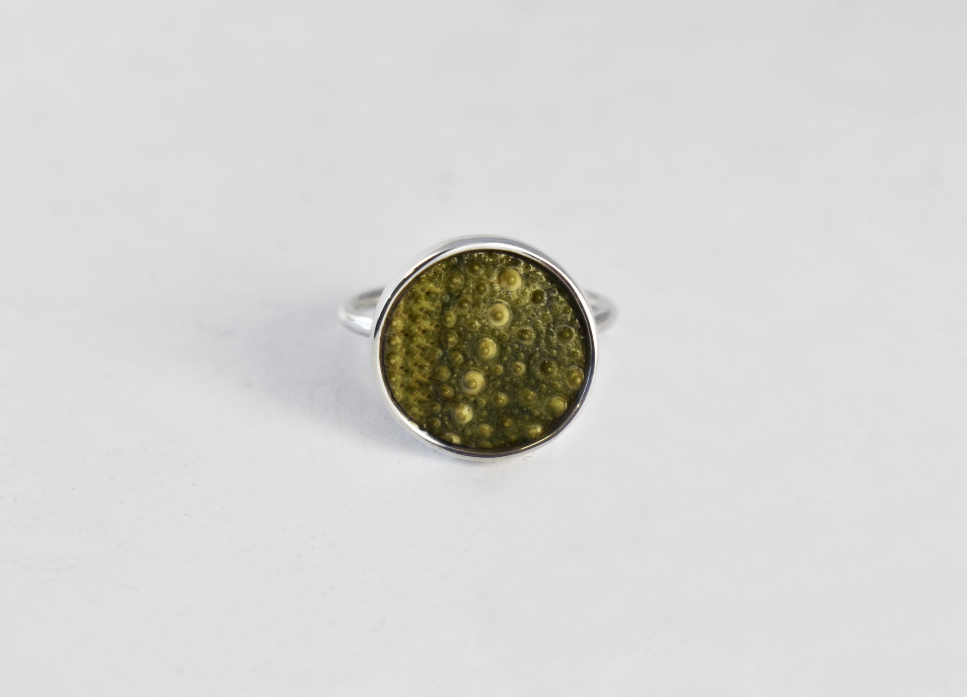Kj104 green sea urchin ring 1
