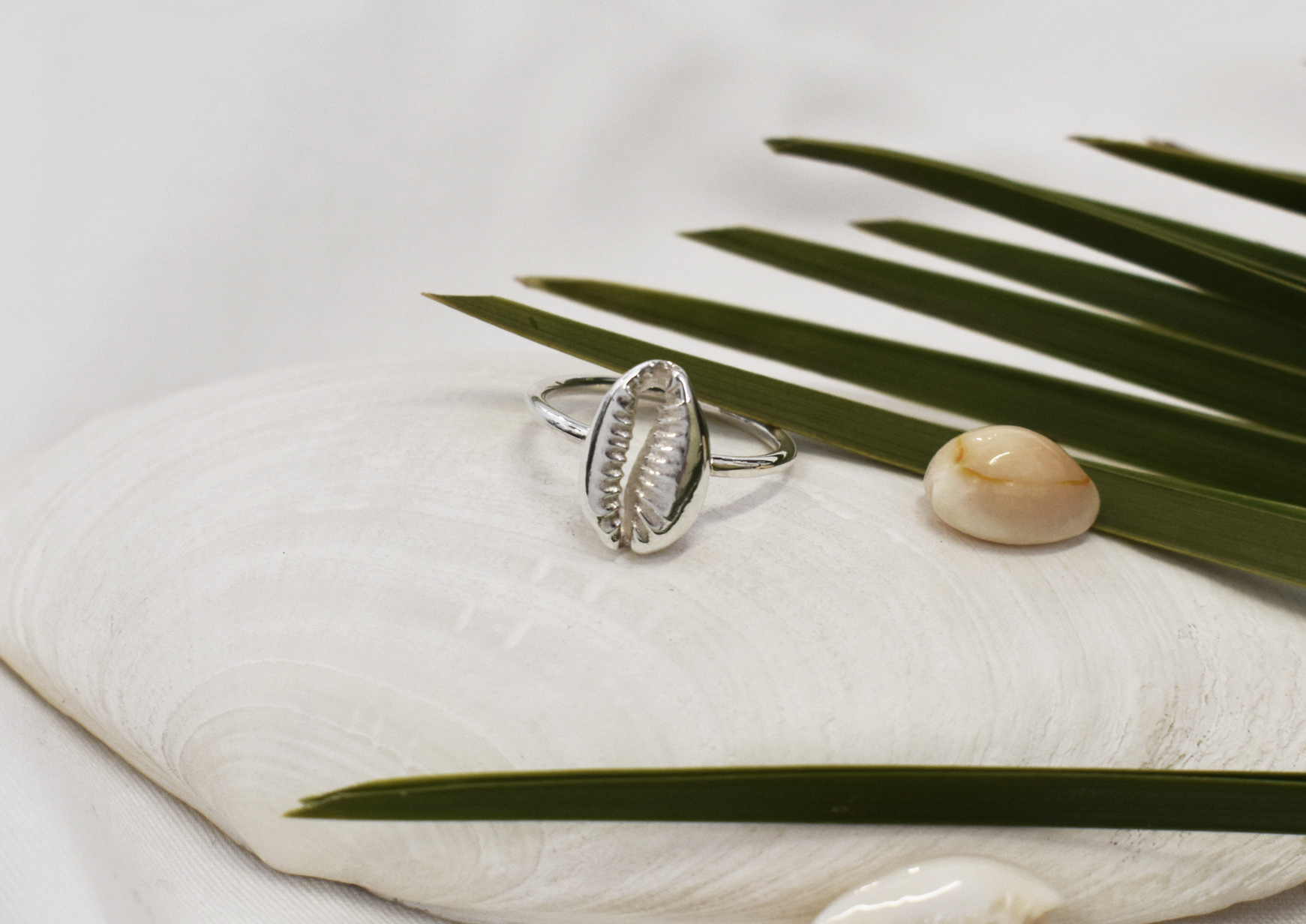 Cowrie ring 3 k 1