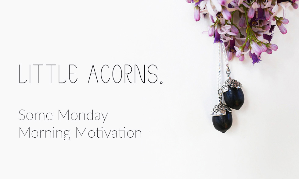 Little Acorns – Some Monday Morning Motivation