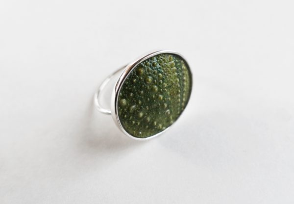 KJ103 Big Sea Urchin Ring – Green 1