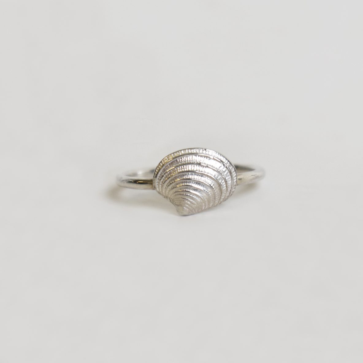 Scallop Ring1 (k)