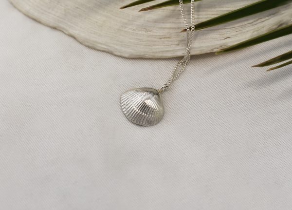 Silver Calico Shell Necklace