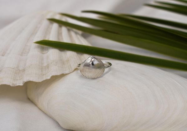 Silver Calico Shell Ring