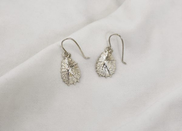 Silver Limpet Shell Earrings