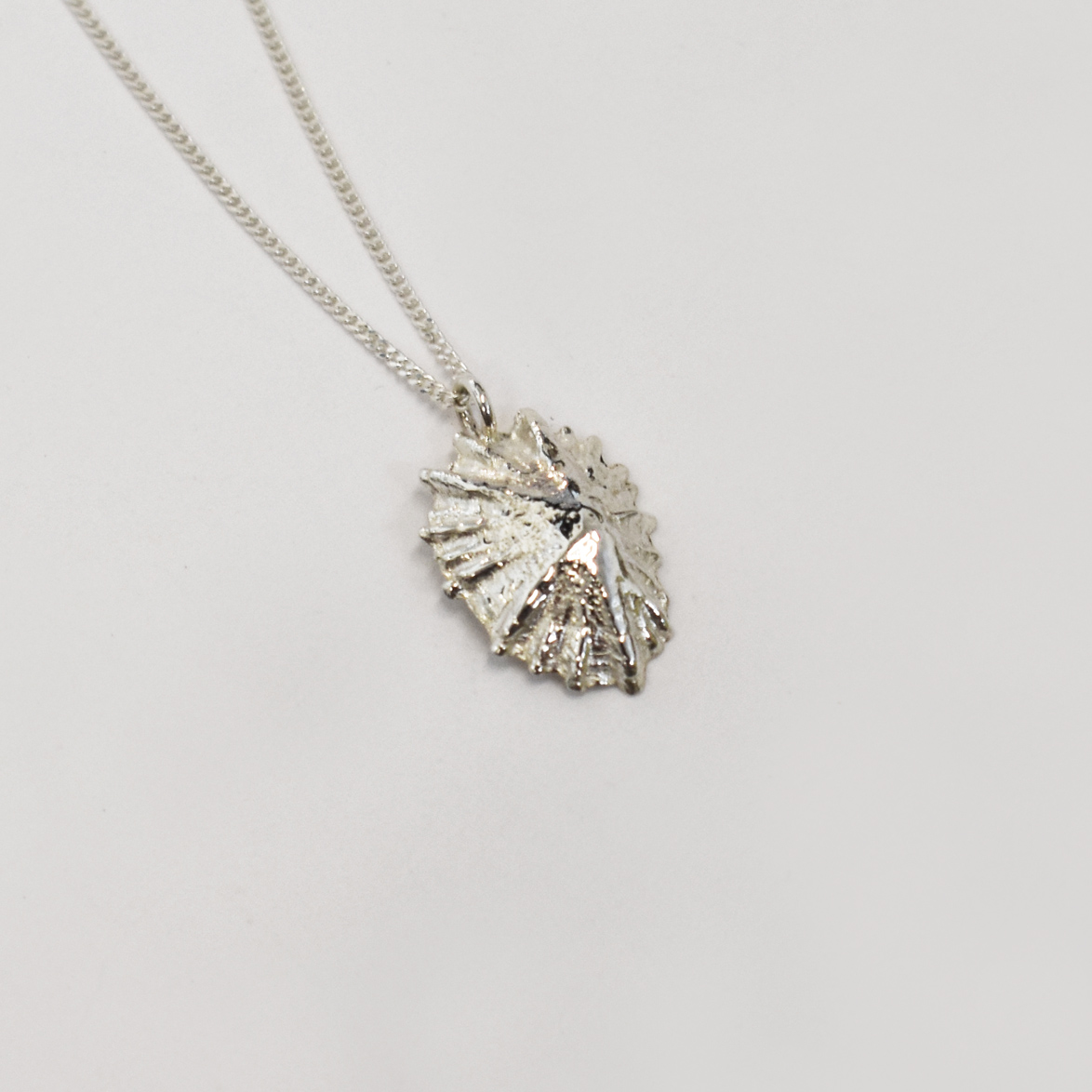 Silver Limpet Shell Necklace