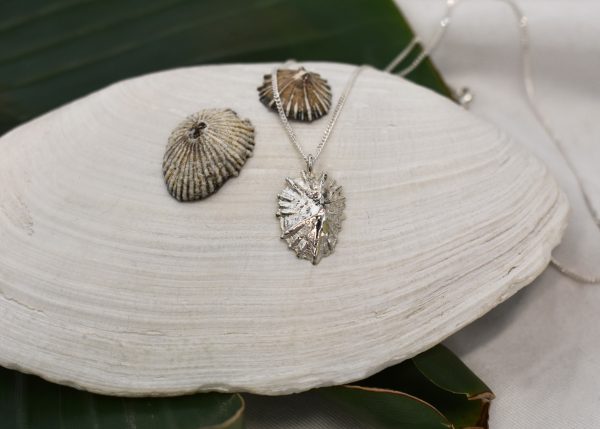 Silver Limpet Shell Necklace