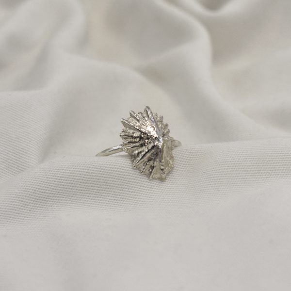Silver Limpet Shell Ring