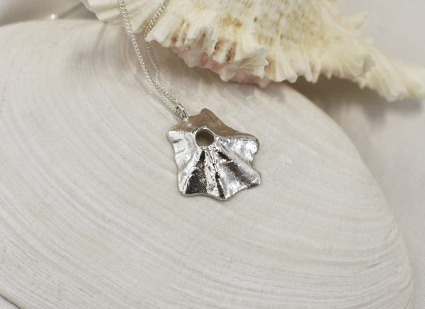 Silver Star Limpet Necklace