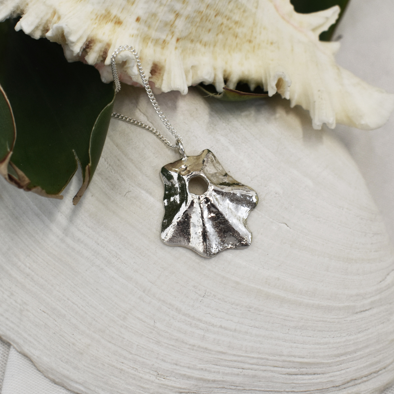Silver Star Limpet Necklace