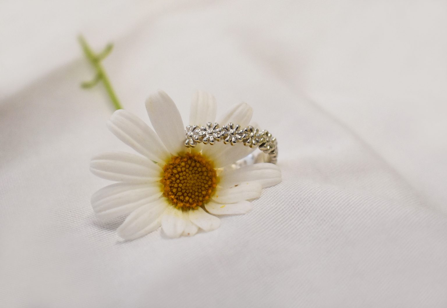 Daisy Rig Daisy Ring - Kinkel Jewellery